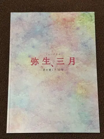 뮤지컬 야요이, 3월 -너를 사랑한 30년- 팜플렛