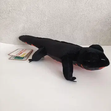 포징 봉제 인형 파키포키즈 아카하라이모리 [30cm] 봉제 인형