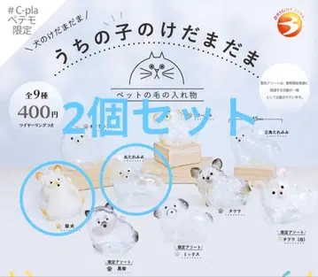 우리 아이의 털뭉치 시바견 동그란 늘어진 귀 2세트