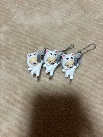 스키즈 straykids Foxl.ny