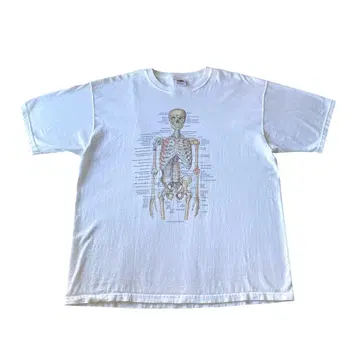 90s00s Anatomical Chart 프린트 티셔츠 XL 화이트