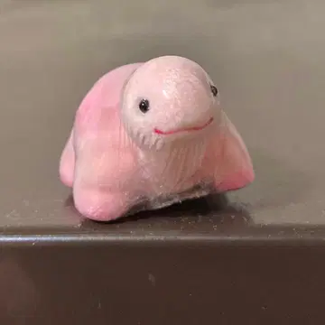 미개봉 우오즈 수족관 진주 코너 플로키 마스코트 거북이 팬시 잡화