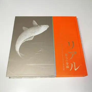 도록 리얼 최대의 기발 후추시 미술관 2018년