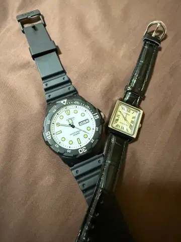 치프카시 2개 세트