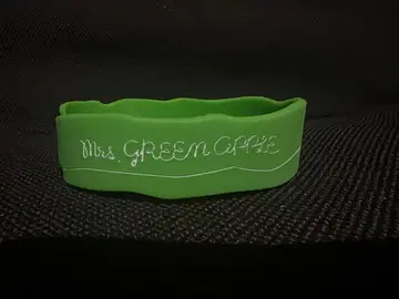Mrs. GREEN APPLE 러버 밴드 초기
