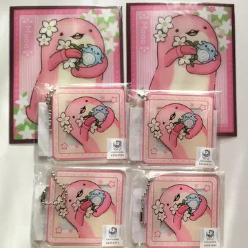 마아아 씨 마루쿠지