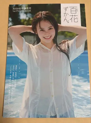 AKB48 이토 모모카 1st 포토북 모모카즈칸.