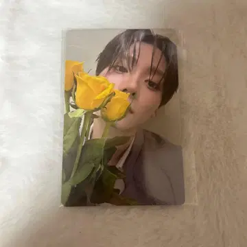 보이플래닛 아카이브 전시 산원 트레이딩 카드 week2