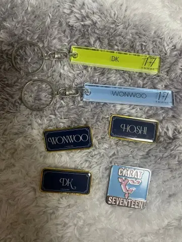 seventeen 핀배치 키링