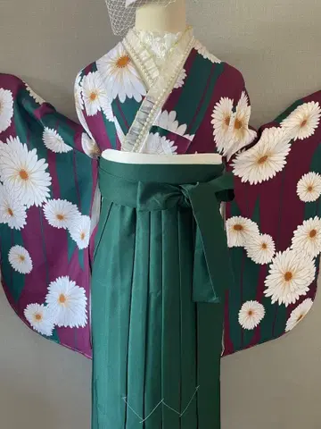 초특가 졸업식 레트로 모던 2자 길이 소매 기모노, 하카마, 점 세트