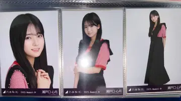 노기자카46 세토구치 신게츠 비대칭 컴프