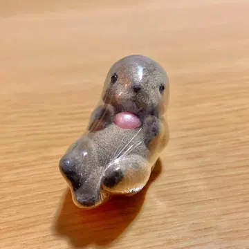 미개봉 우오즈 수족관 진주 코너 플로키 마스코트 랏코 팬시 잡화