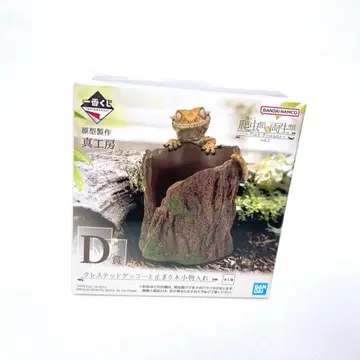 제일복권 파충류 양서류 D상 소품함