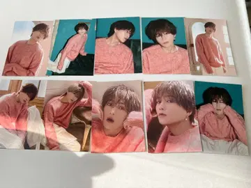 즈토즈토 야기 유세이 트레이딩 카드 10종 컴플리트 아자자 A 세트