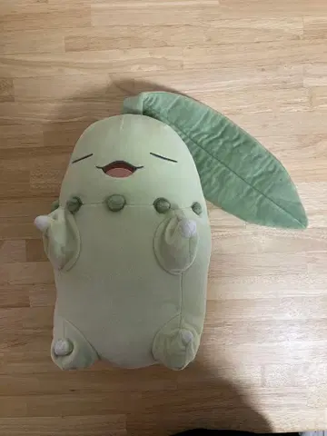 포켓몬 말랑말랑 봉제 인형 Pokemon Sleep 안녕 치코리타