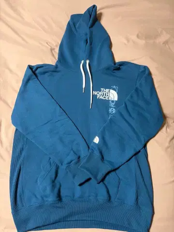THE NORTH FACE 후드티 몬트레이 블루
