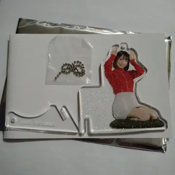 노나카 미키 놓을 수 있는 키링 키라