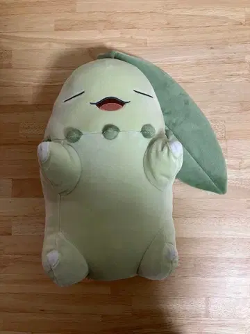 포켓몬 말랑말랑 봉제 인형 Pokemon Sleep 안녕 치코리타