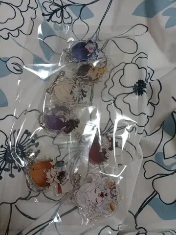 올림피아 소아레 Catharsis 스텔라 특전 아크릴 키링