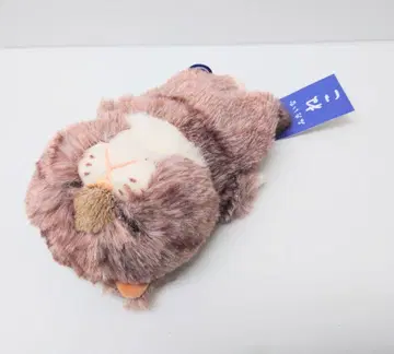 고양이 패턴 고양이 잡화 고양이 굿즈 봉제 인형