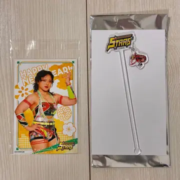 스타덤 이이다 사야 엽서 마들러 세트 토키와테이 마리온 크레이프