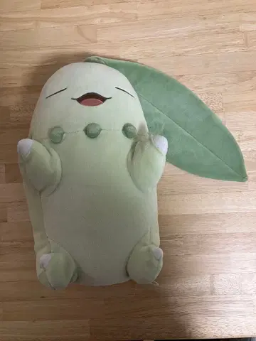 포켓몬 말랑말랑 봉제 인형 Pokemon Sleep 잘자요 치코리타
