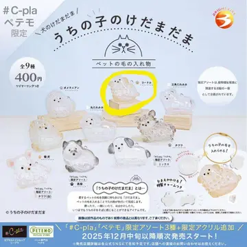 우리 아이 털뭉치 볼 푸들 2개 세트