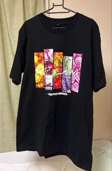 The Brow Beat THE FIVE SENSES 티셔츠 XL