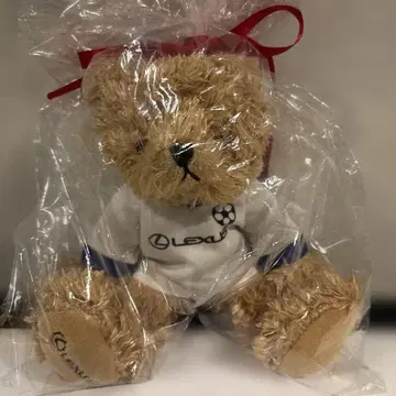 렉서스 베어 축구