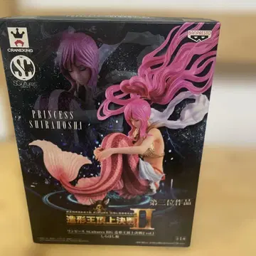 프린세스 시라호시 피규어