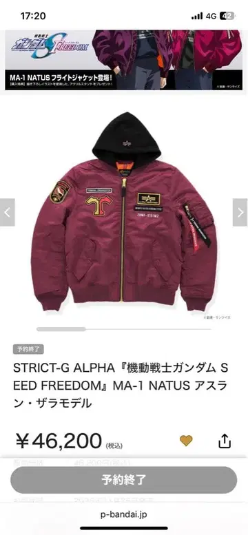 STRICT-G ALPHA [건담 SEED 아스란 자라 모델