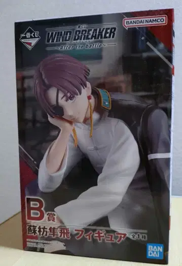 WIND BREAKER 제일복권 B상 스오 하야토