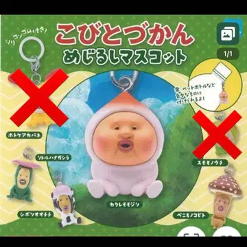 코비토즈칸 메지루시 액세서리 4종