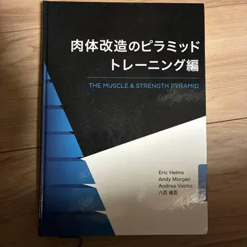 신체 개조의 피라미드 트레이닝 편