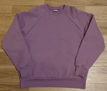 Healthknit 맨투맨 속기모