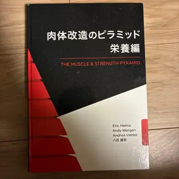 신체 개조의 피라미드 영양편