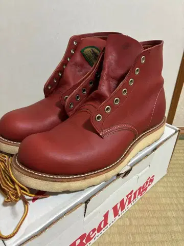 레드윙 아이리쉬 세터 beams 40주년 7.5D