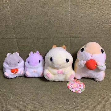 코로하무 콜론 갓 딴 딸기 퍼플 봉제 인형 세트 햄스터