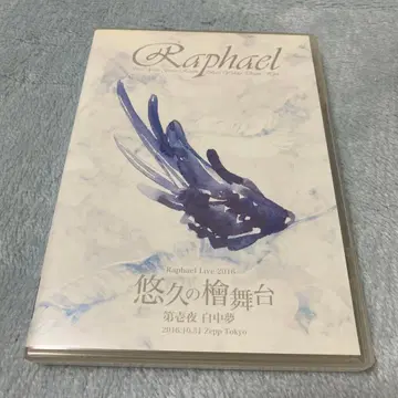 Raphael Live 2016 유구의 편백나무 무대 백일몽