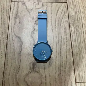 SKAGEN 쿼츠 손목시계 블루