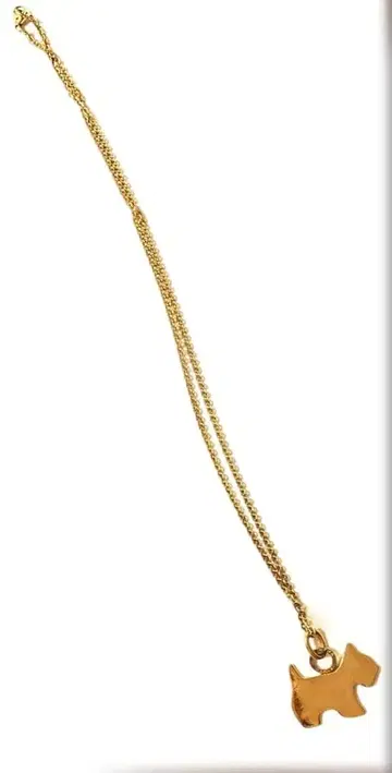 [ AGATHA ] 테리아의 롱 체인 목걸이 골드 컬러