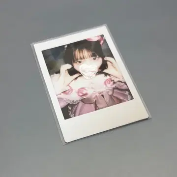 사쿠라바 하루카 폴라로이드