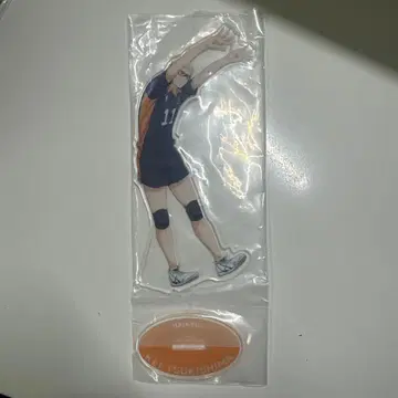 하이큐!! 제일복권 아크릴 스탠드 츠키시마 케이