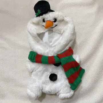 디즈니 스토어 유니베어시티 코스튬 칩과 데일 몽블랑