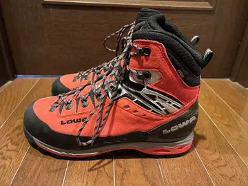 LOWA MOUNTAIN EXPERT GTX EVO