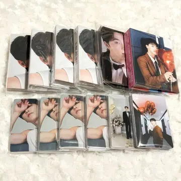 SEVENTEEN 디노 바인더