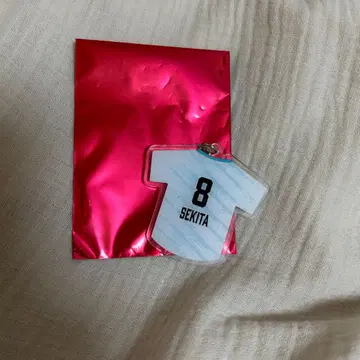 산토리 선버즈 오사카 세키타 아크릴 키링