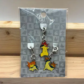 포켓몬 참 155 초염몽 156 마그마번 157 초염몽