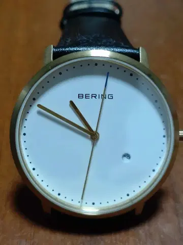 BERING 베이링 남성용 쿼츠 손목시계 날짜 있음