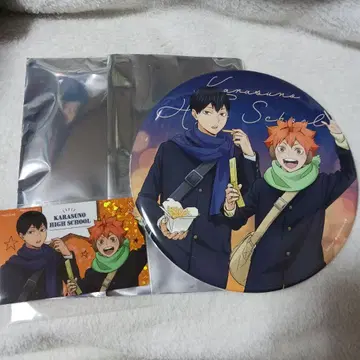 하이큐 코스모 월드 히나타 쇼요 카게야마 토비오